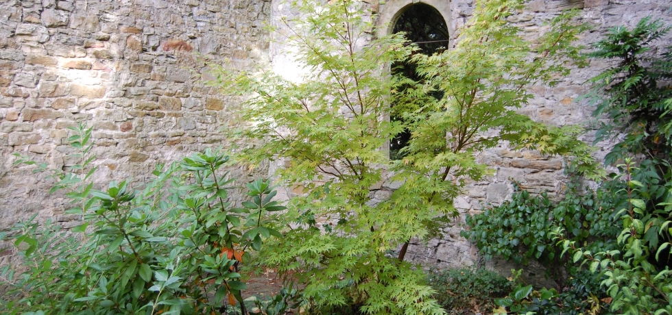 Inside our ruined chapel. Built around 1600. Earliest stone dated 1607