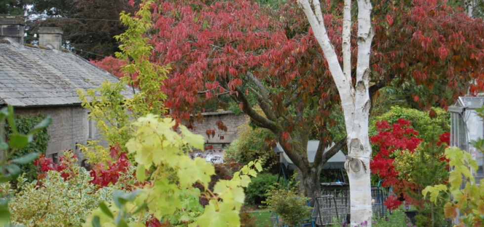 Autumn overlooking the shop
