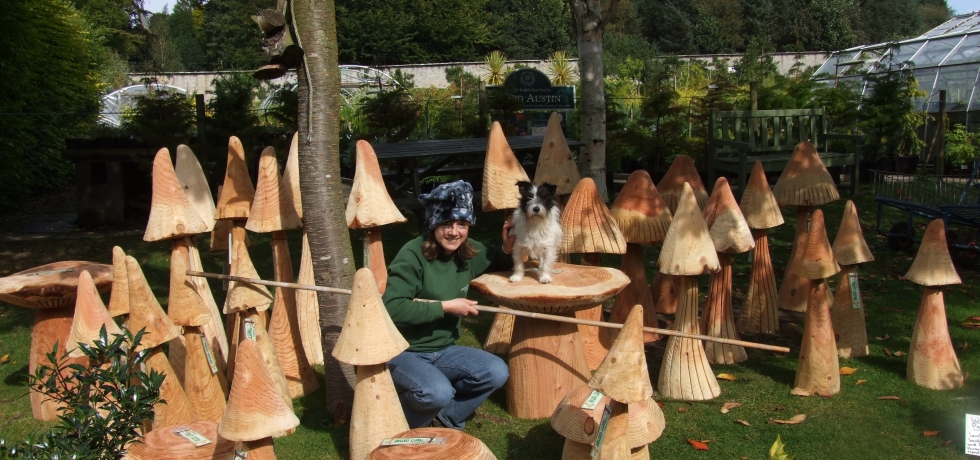 Fine flush of mushrooms and a pretty gnome