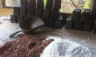 Grit and Perlite; A 50-50 mix for topping.