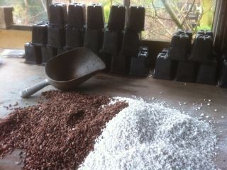 Topping mix; I gave up composts for seed & cuttings decades ago.