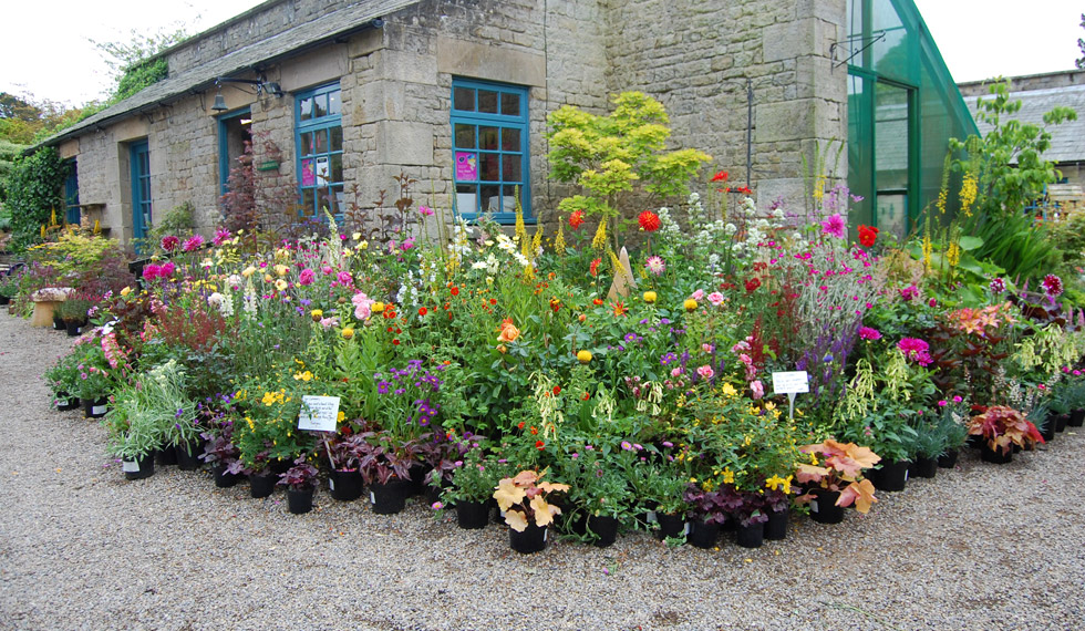 Four Centuries of Gardening