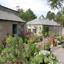 Eggleston Hall Gardens...Garden Shop