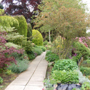 Eggleston Hall Gardens...Nursery path