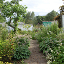 Eggleston Hall Gardens...winding path