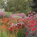 Border at The Savill Gardens 2