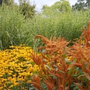 Border at The Savill Gardens 3