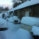 Snowed in the Potting Shed