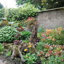 Eggleston Hall Gardens...Stump garden